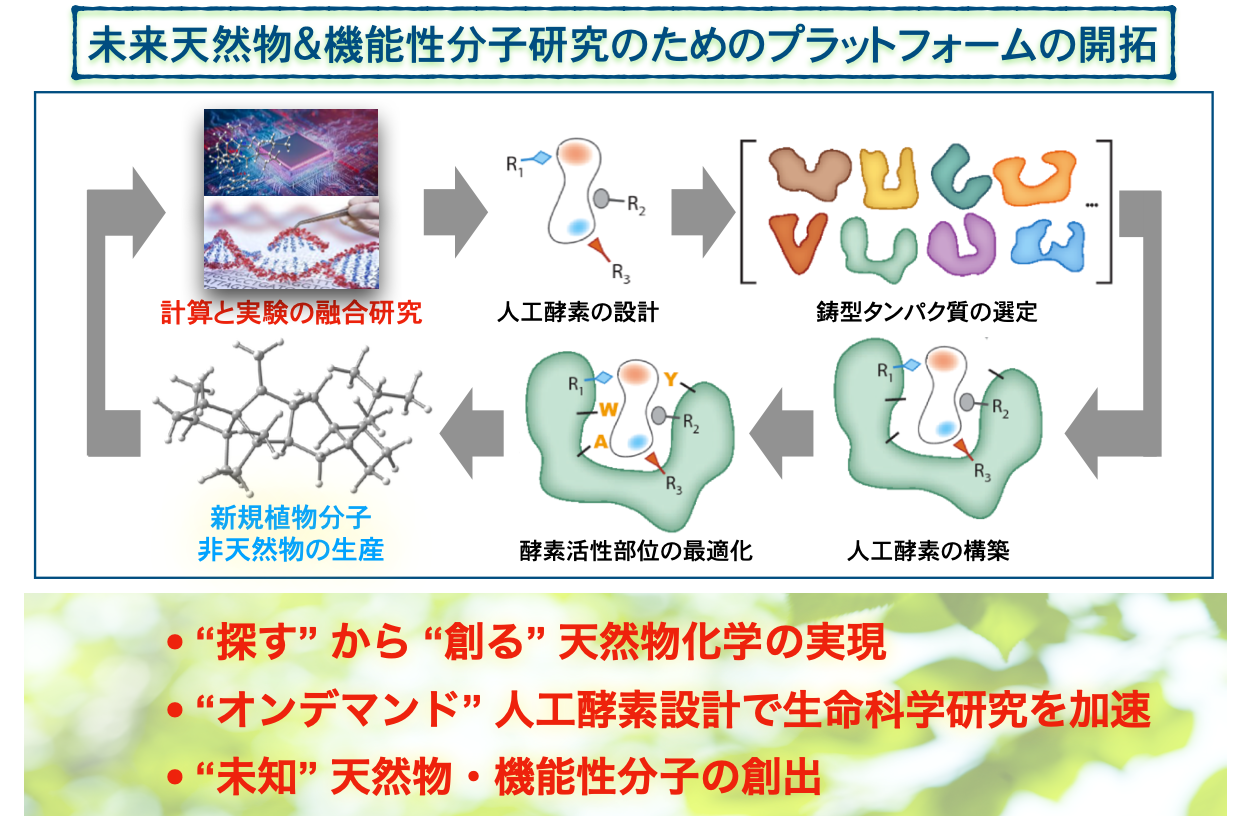 実験科学との協奏