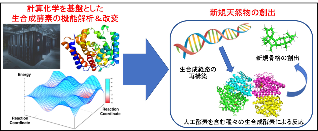 天然物生合成研究の概要図